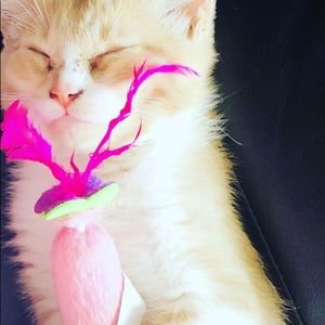 Meet your Posher, Isabelle